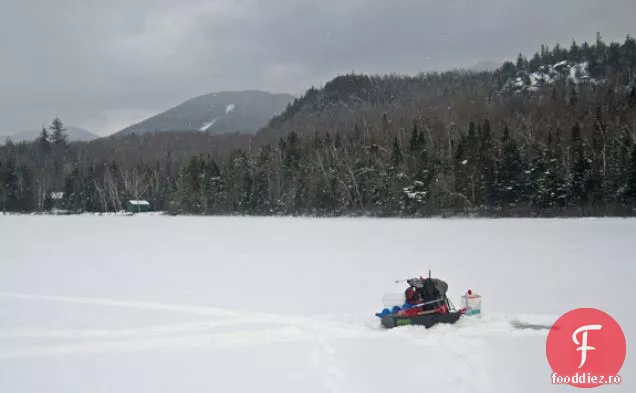 Pescuit Pe Gheață Și Păstrăv Ars Rapid Cu Rillettes De Păstrăv Afumat