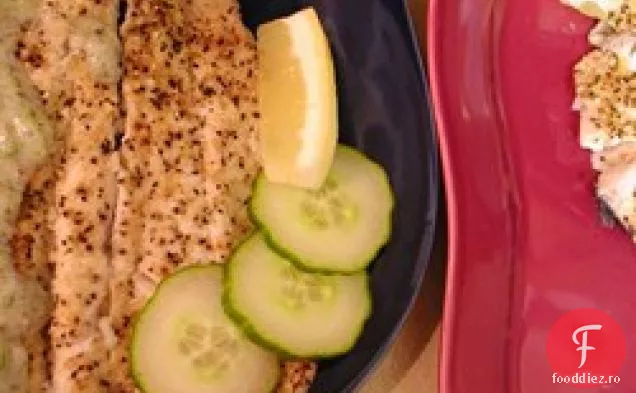 Păstrăv curcubeu cu sos de iaurt