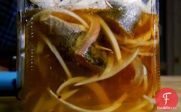 Rollmops