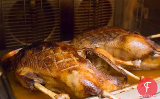 Gâsca de Crăciun a lui Shirley Balboa