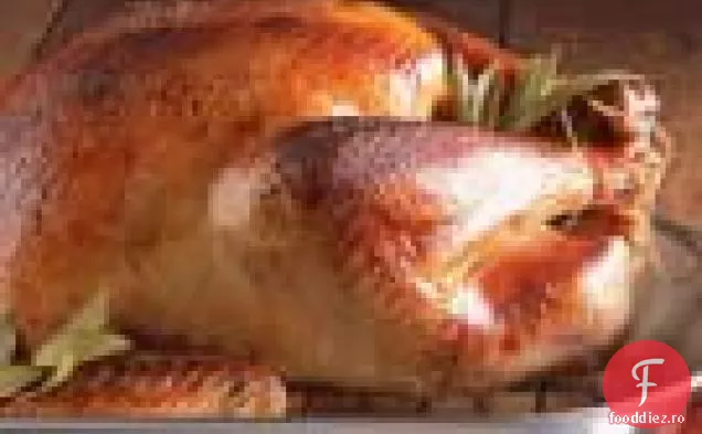 Curcan cu lapte bătut