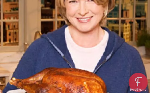 Turbochef Friptură De Curcan