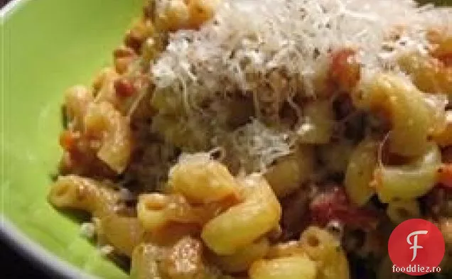 Turcia Ragu cu Fontina și parmezan