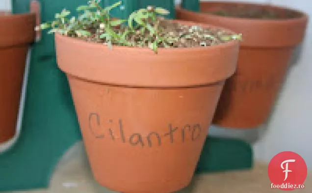 Cotlete De Curcan În Rețetă Crockpot De Salsa De Mango