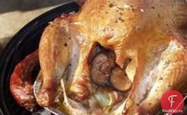 Cel Mai Mare Curcan La Grătar