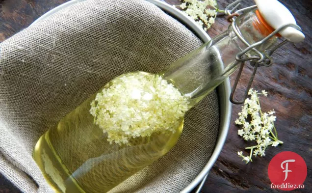 Flori De Soc Și Jeleu De Vin Englezesc