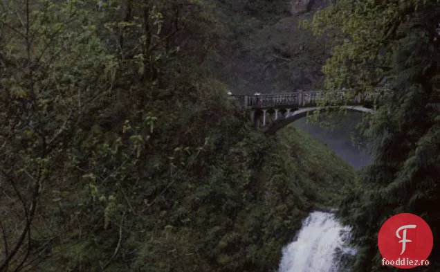 Rețetă de pâine cu sifon cu șase semințe