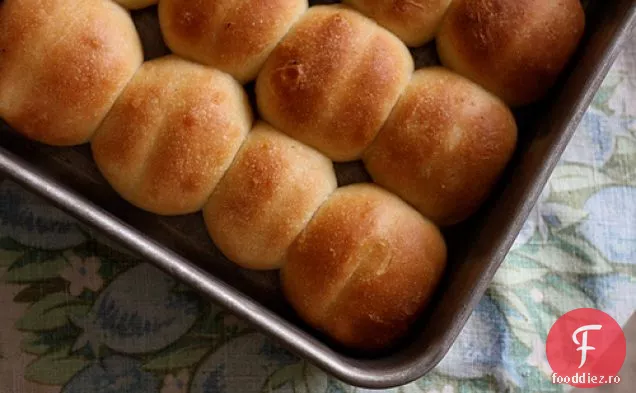 Casa Parker Rolls