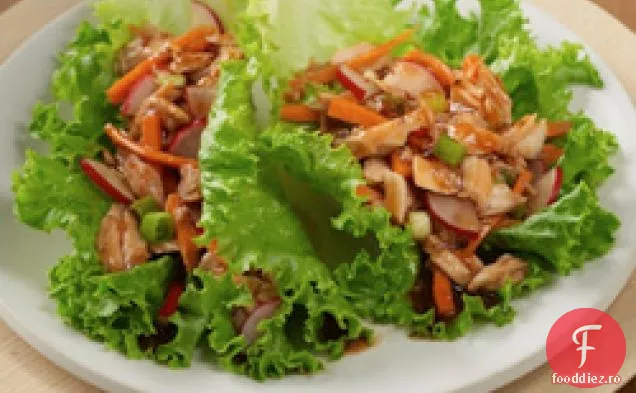 Asiatice Salata De Ton Împachetări