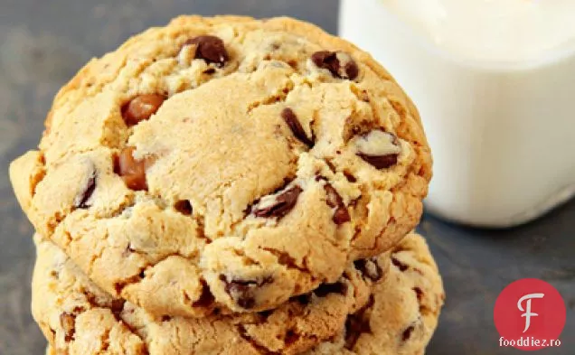 Turtle Cookie-Uri