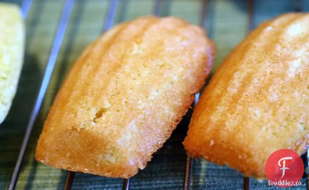 Clasic Madeleines
