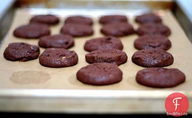 Pace Mondială / korova Cookies