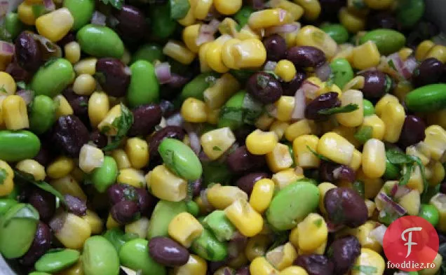 Cilantro Succotash Quesadillas