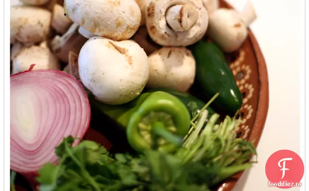 Salsa Cu Ciuperci, Jalapeincloro Și Cilantro