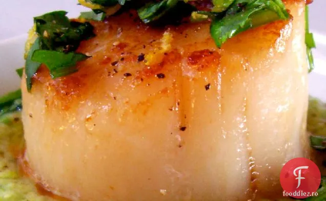 Scoici De Mare Arse Cu Mazăre Gingered Pur Și Coriandru Gremolata