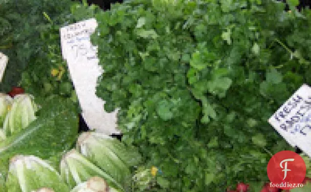 Piept de pui cu sos de unt de coriandru