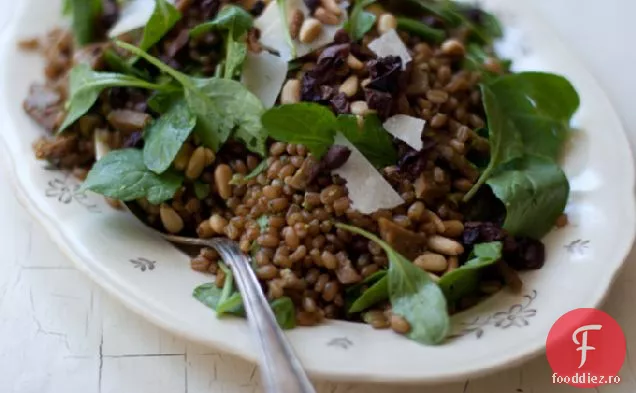 Rețetă De Fructe De Grâu Pesto De Rucola