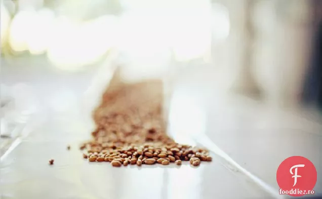 Salată De Grâu Cu Rucola, Cireșe Și Sos Pom