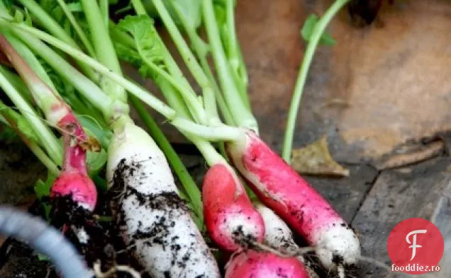 Salată De Rucola Și Ridiche Cu Burtă Caldă De Porc Fiartă