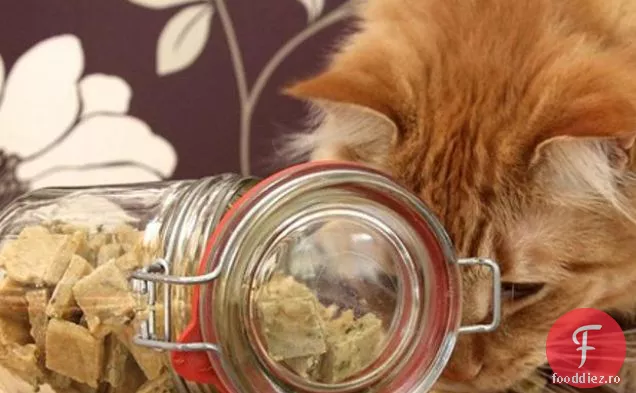 Chewy Cat Tratează Pentru Pisici