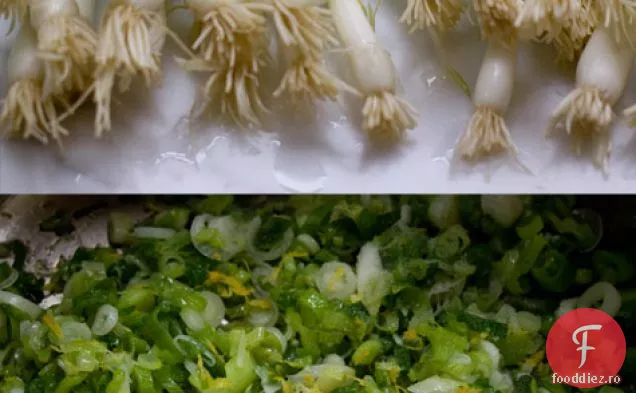 Salată De Macaroane