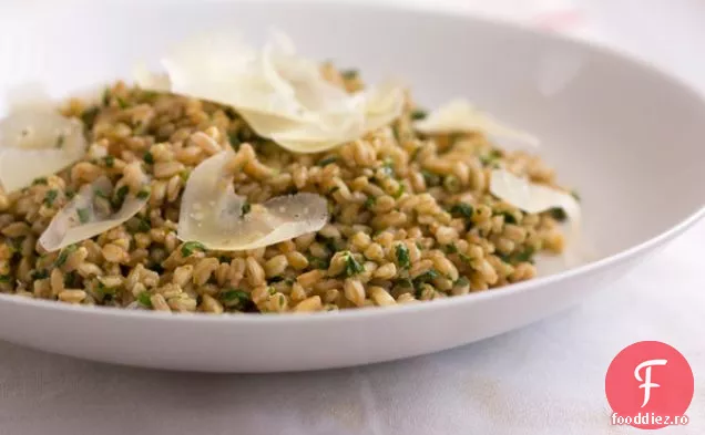 Farro Cu Pesto Grosier