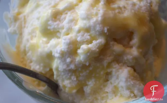 Spice Cream Cu O Poftă De Mâncare Cel Mai Bun Linge! Concursul De Înghețată 2008 E