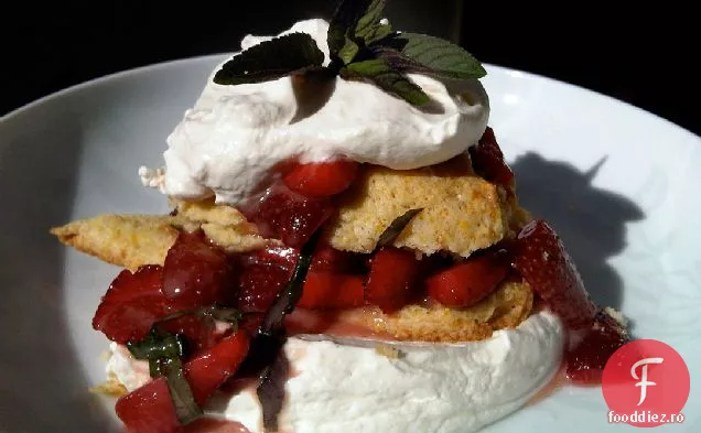 Căpșuni De Piață Și Cremă Chantilly Cu Shortcakes Din Făină De Porumb
