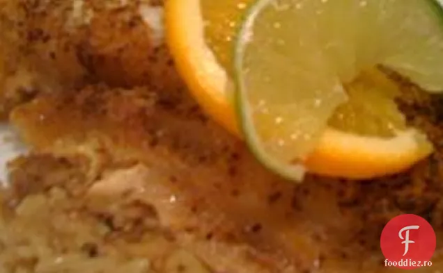 Grupator La Cuptor În Stil Key West