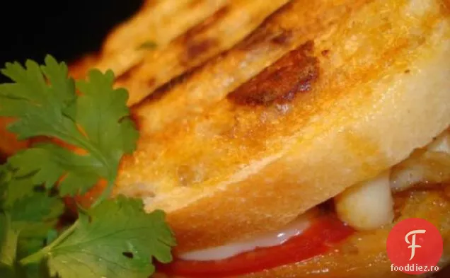 Jalapeincromalo Usturoi Tilapia Panini