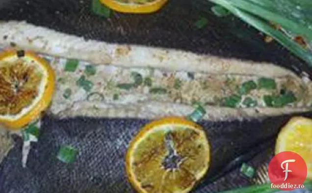 Flounder Umplute
