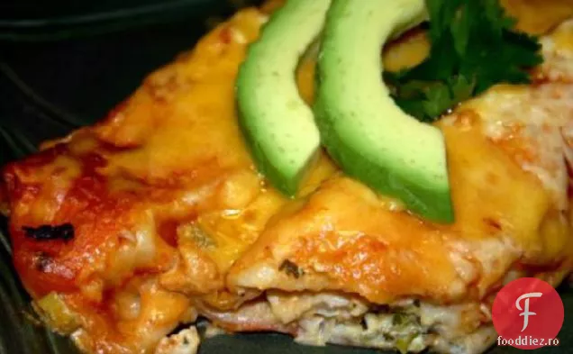 Halibut Savuros Enchiladas