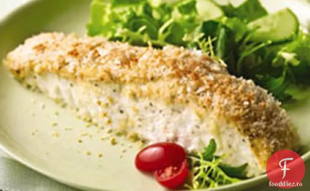California Halibut Coace