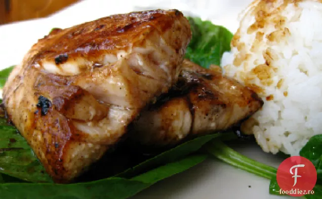 Ghimbir Glazurate Mahi