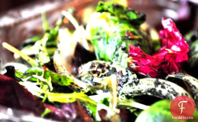 Salată De Rucola Cu Mentă Marocană Varză De Bruxelles