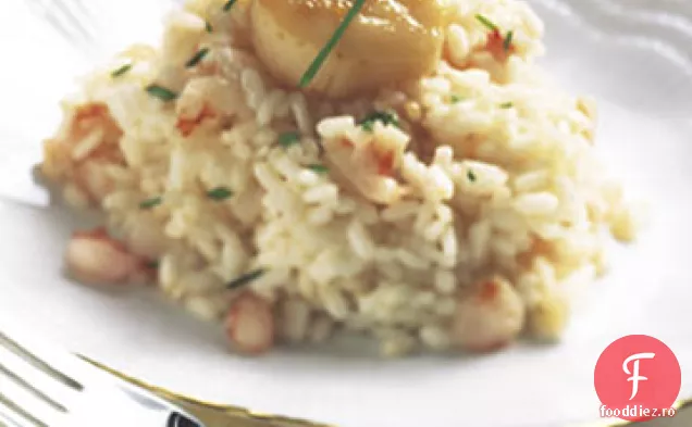 Scoici arse pe Risotto de creveți și trufe