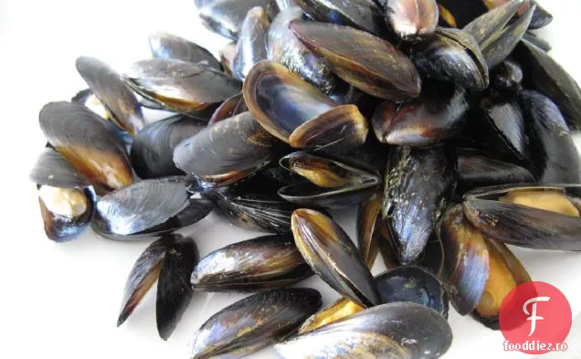Mussels