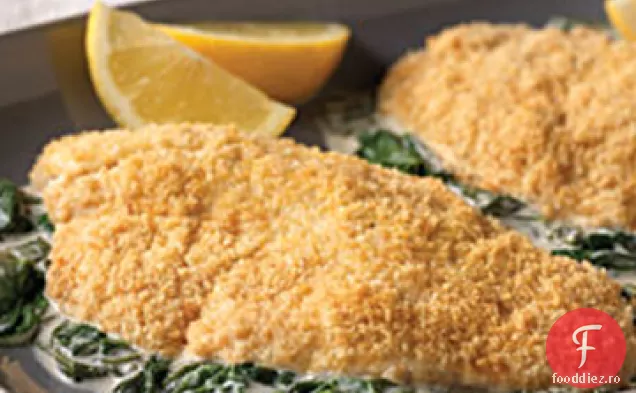 Tilapia Florentin