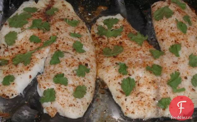 Tilapia Africană