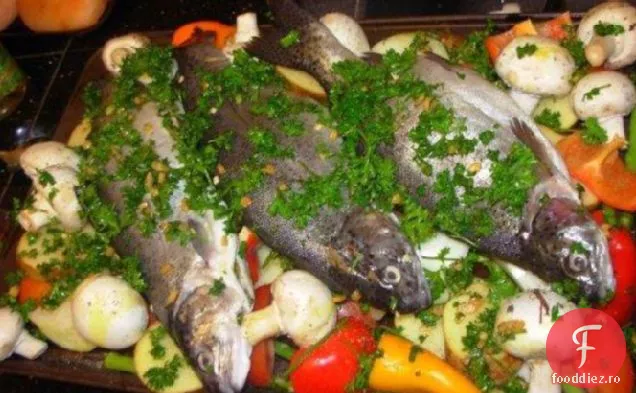 Pește Marocan Tajine