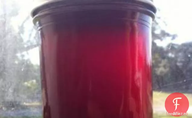 Jeleu De Ton ( Fruct De Cactus ) 