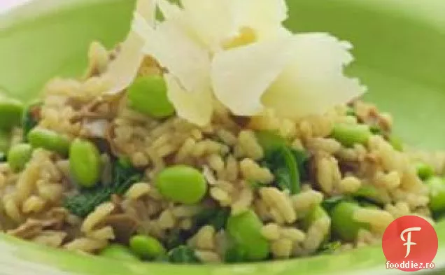 Risotto Cu Edamame, Rucola Și Porcini