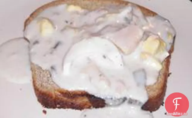 Ton pe pâine prăjită