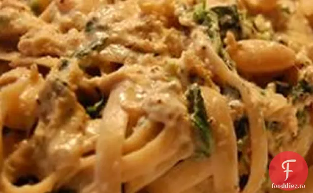 Ton Alfredo