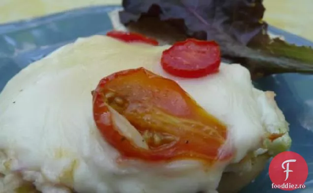 Tonul Mozzarella Se Topește
