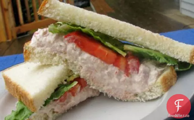 Salată de ton pe un pat de salată