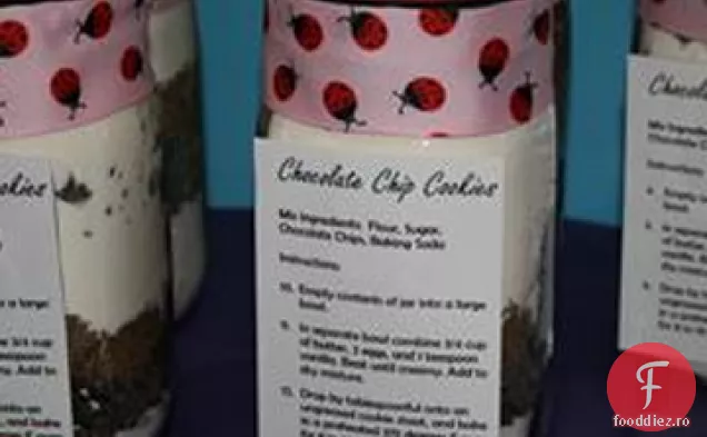 Julia ' s cel mai bun vreodată Ciocolata Chip Cookie-uri într-un borcan
