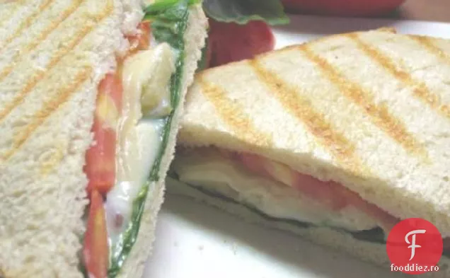 Patru Panini De Brânză Cu Roșii De Busuioc