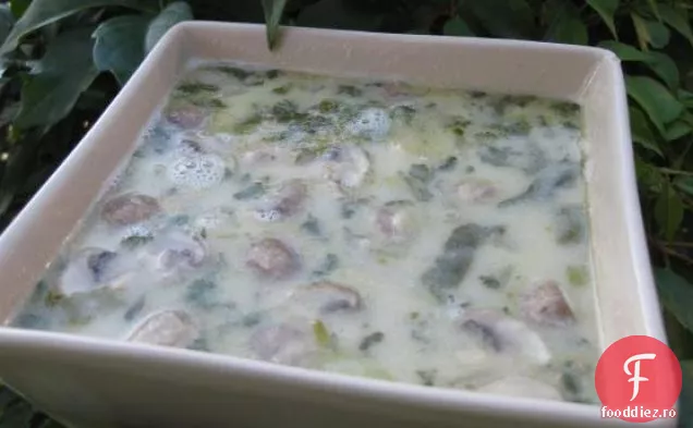 Cupe De Salată De Vită Moo Shu-4 Puncte