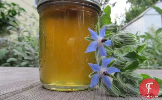 Brânză Borags (Armenia)